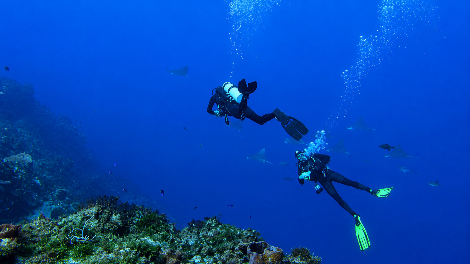 Jorge of Subculture Divers looking back to check his dive group