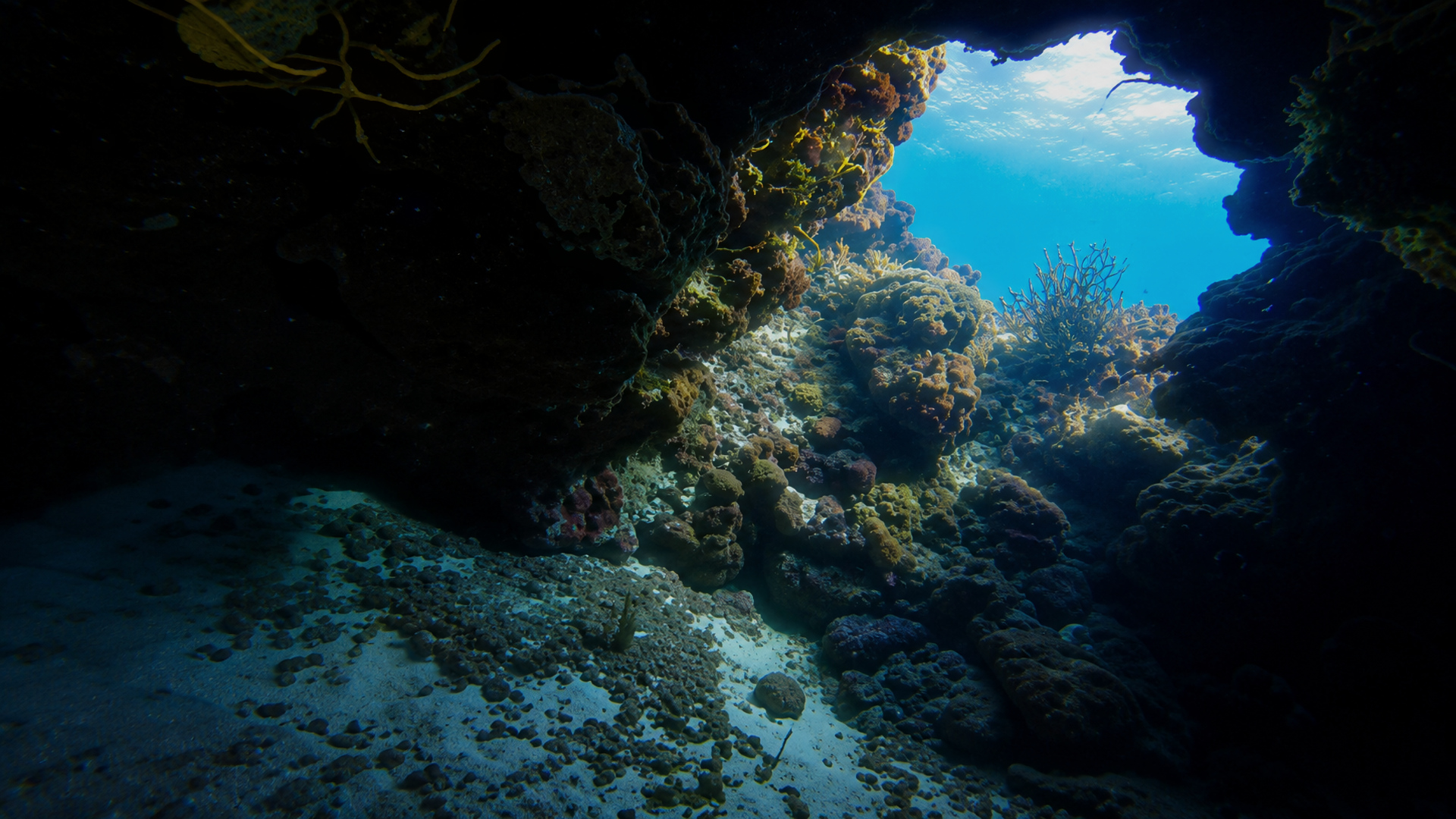 Palancar Caves reef in Cozumel